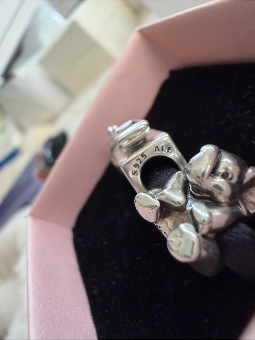 Pandora Charm Bundle - Picture 4 of 5